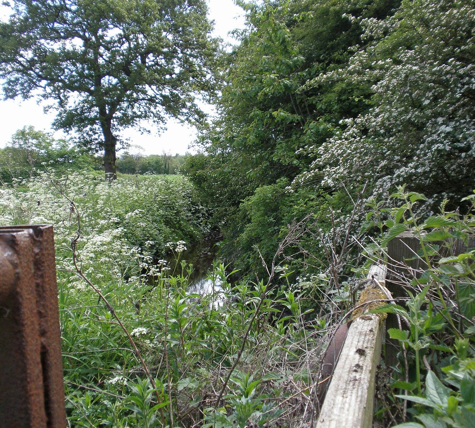 Coventry's Other River. The Sowe Bedworth to Longford Park Looking Towards Sowe Meadow Nature Park