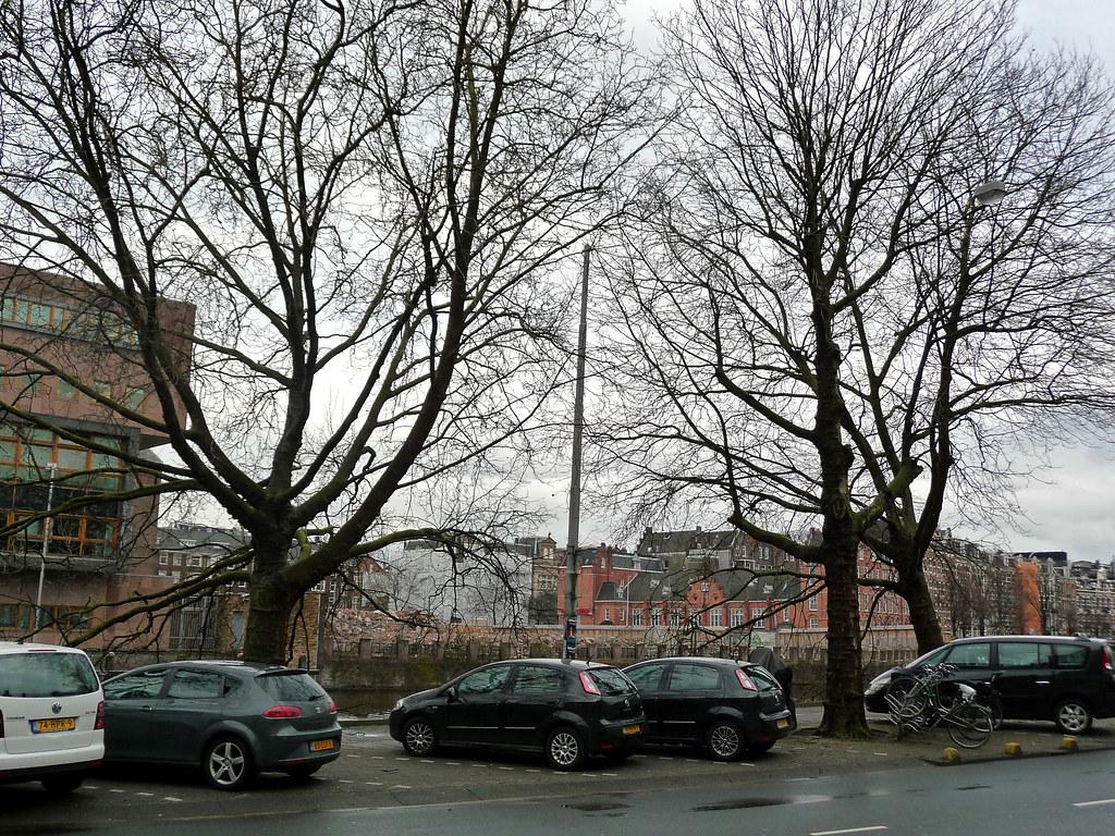 Coventry Council Decisions Shape Local Services and Infrastructure Weekly