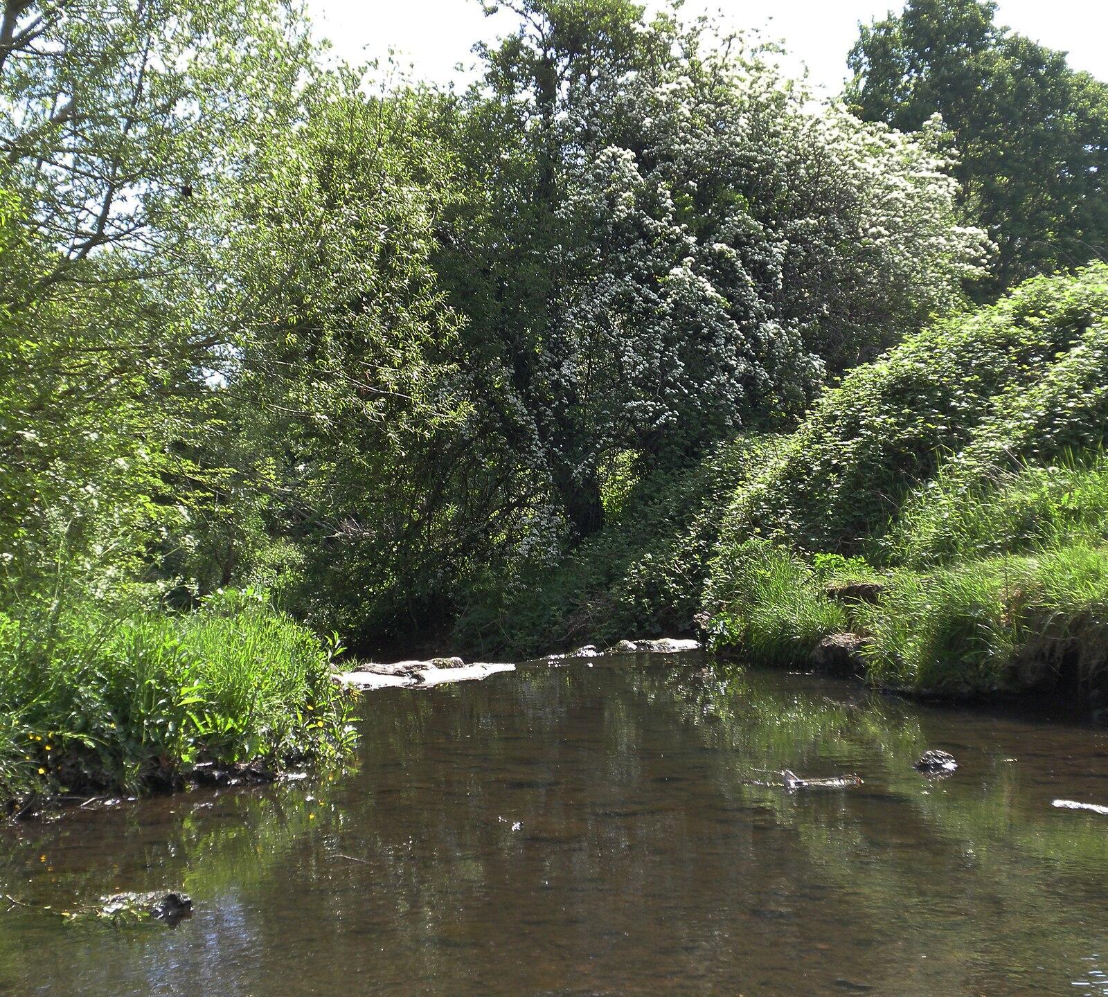 Coventry's Other River. The Sowe Bedworth to Longford Park Longford Park